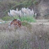 Review photo of Usal Beach Campsites — Sinkyone Wilderness State Park by Mike C., May 10, 2018