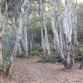 Review photo of Usal Beach Campsites — Sinkyone Wilderness State Park by Mike C., May 10, 2018