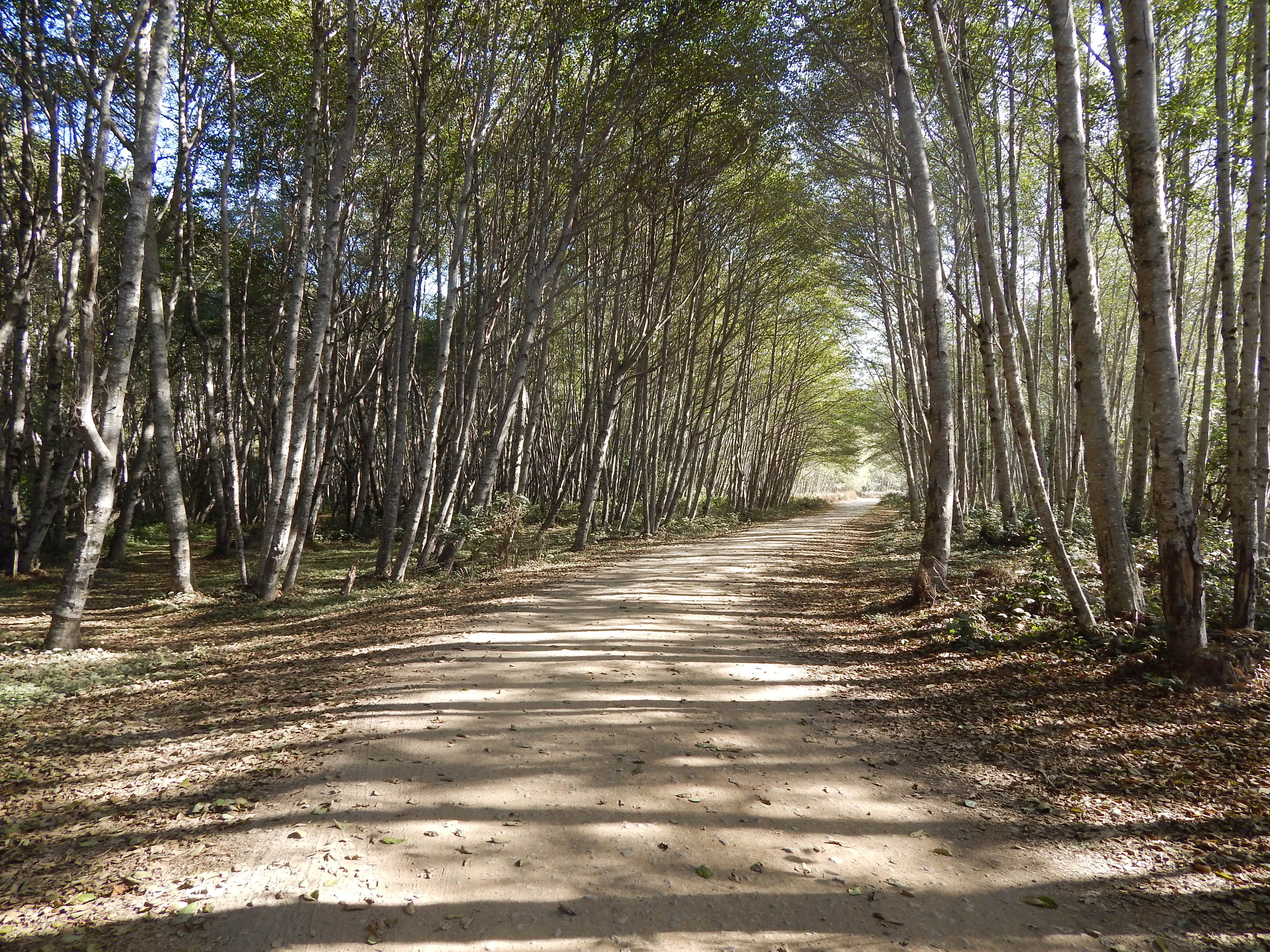Camper-submitted photo at Usal Beach Campsites — Sinkyone Wilderness State Park near Covelo, CA