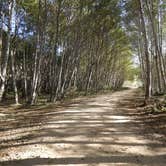 Review photo of Usal Beach Campsites — Sinkyone Wilderness State Park by Mike C., May 10, 2018