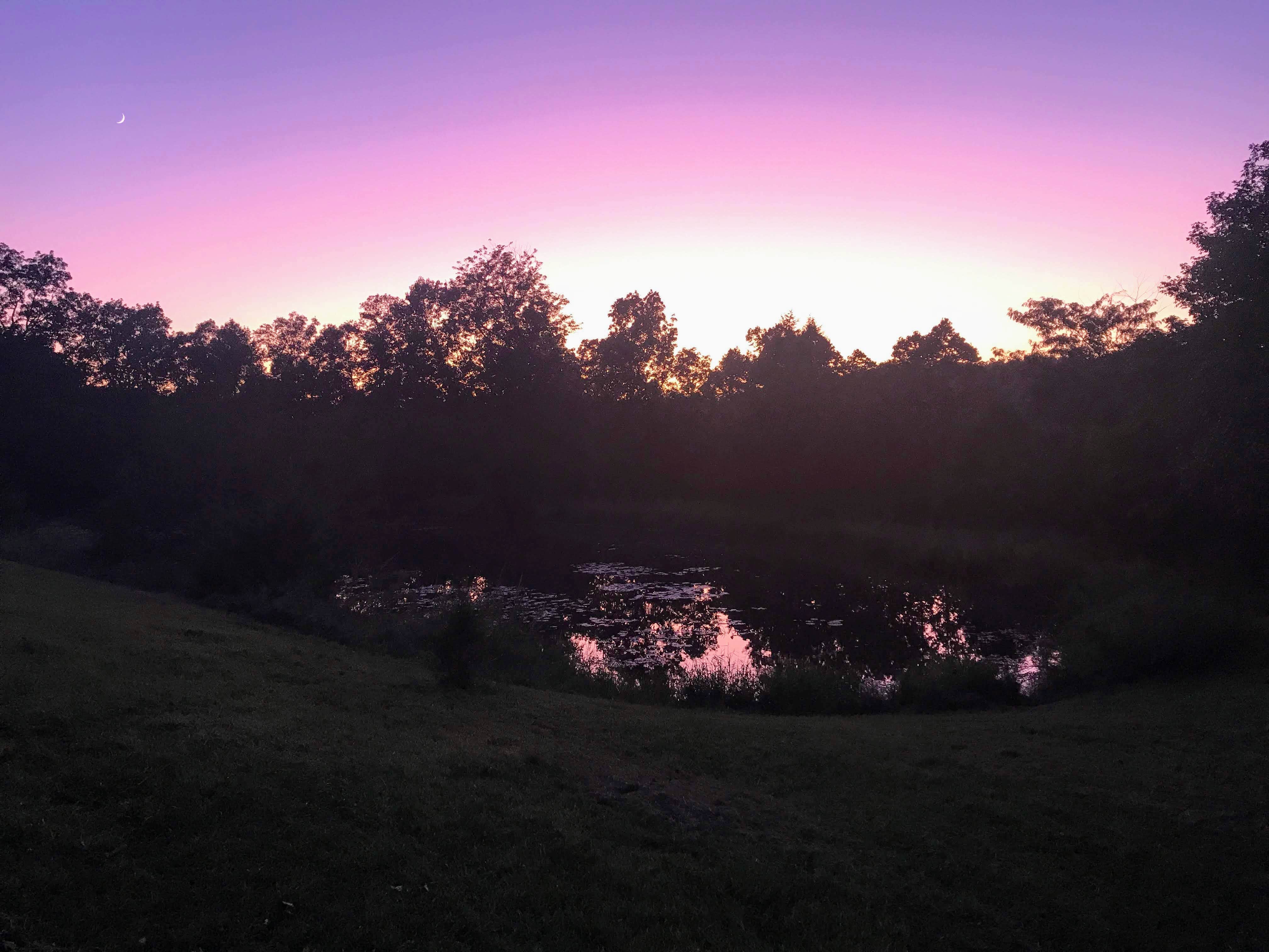 Camper-submitted photo at Pine Valley at Dillard Mill near Bunker, MO