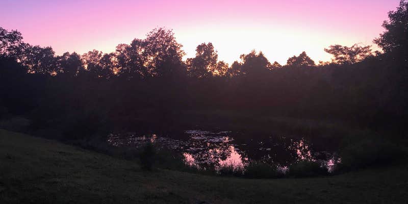 Camper submitted image from Pine Valley at Dillard Mill