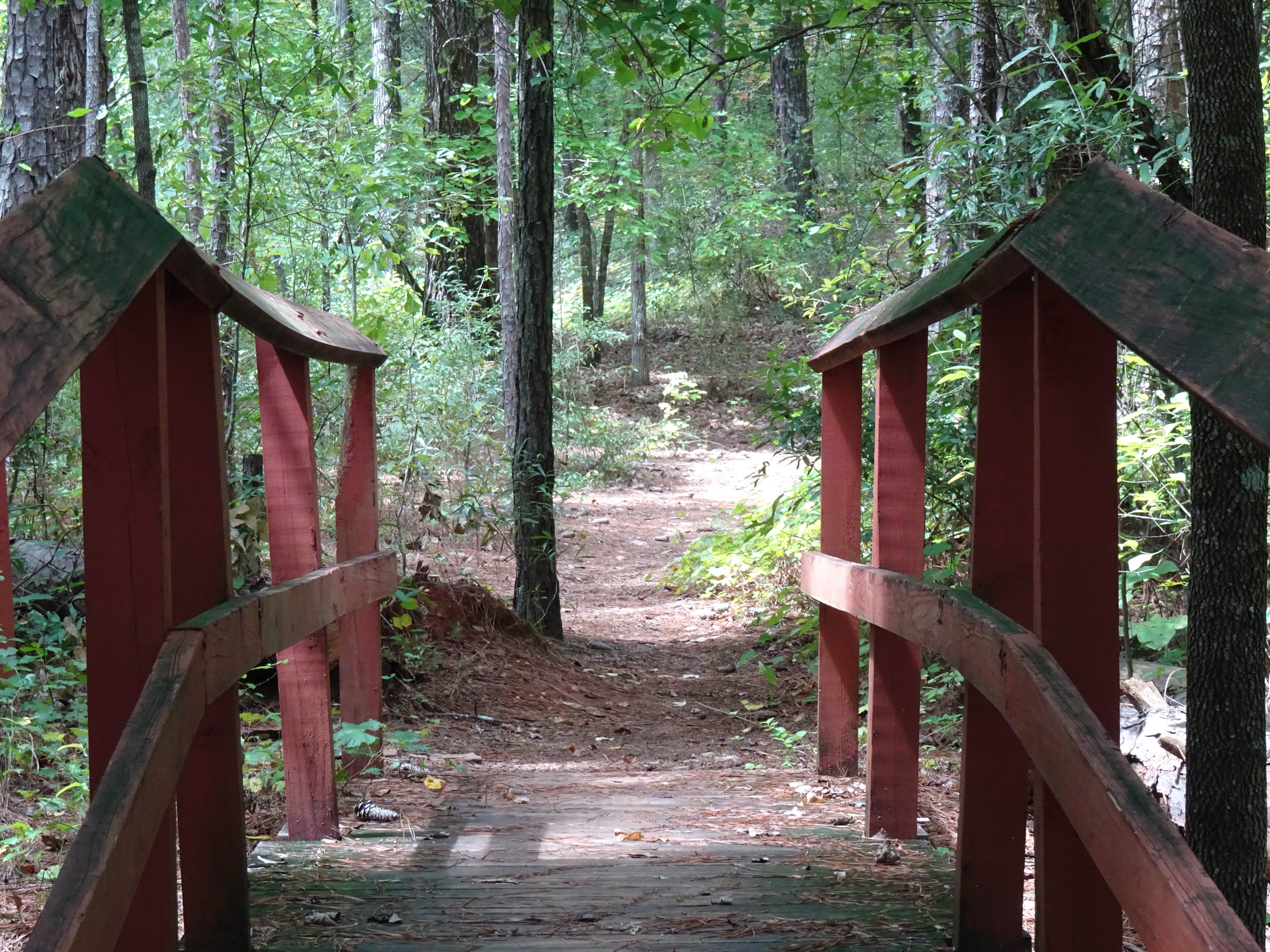 Annell N.'s photo of glamping accommodations at High Falls State Park Campground near Mansfield, GA