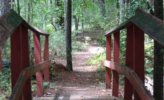 Annell N.'s photo of glamping accommodations at High Falls State Park Campground near Social Circle, GA