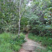 Review photo of High Falls State Park Campground by Annell N., August 30, 2020