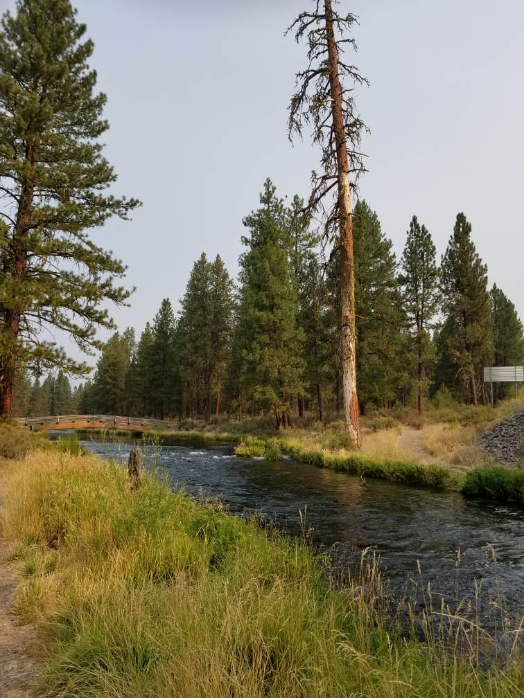 Walking along Spring Creek