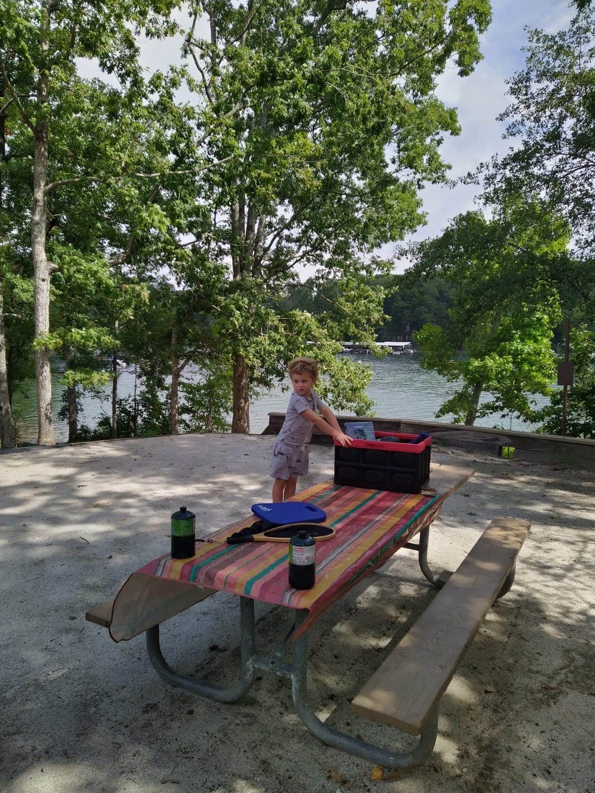 Camper-submitted photo at Springfield - Hartwell Lake near Lavonia, GA
