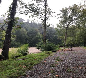 Camper-submitted photo from Stony Fork Campground