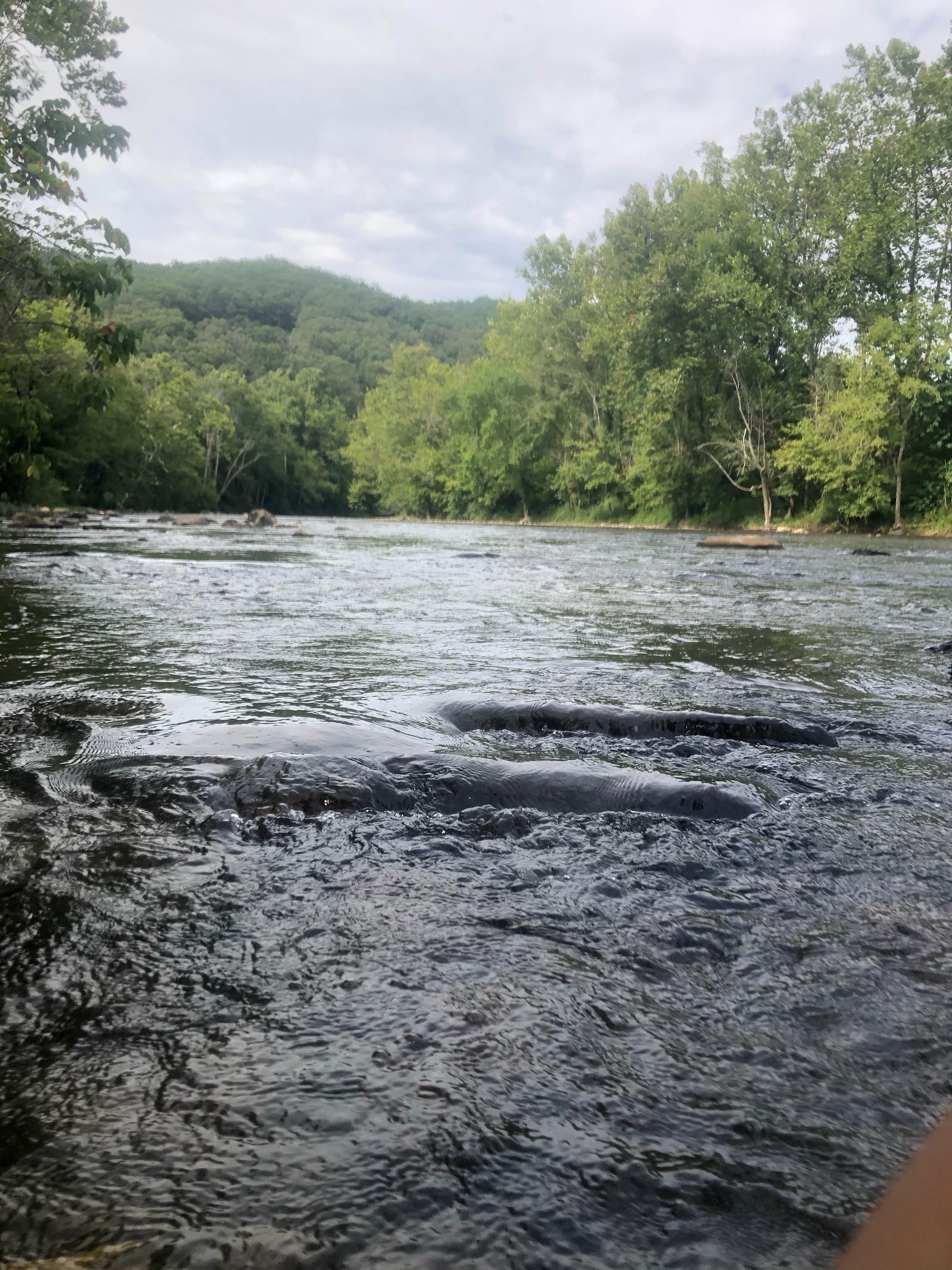 Camping near Sugar Hollow Campground: Riverside Campground, Abingdon, Virginia