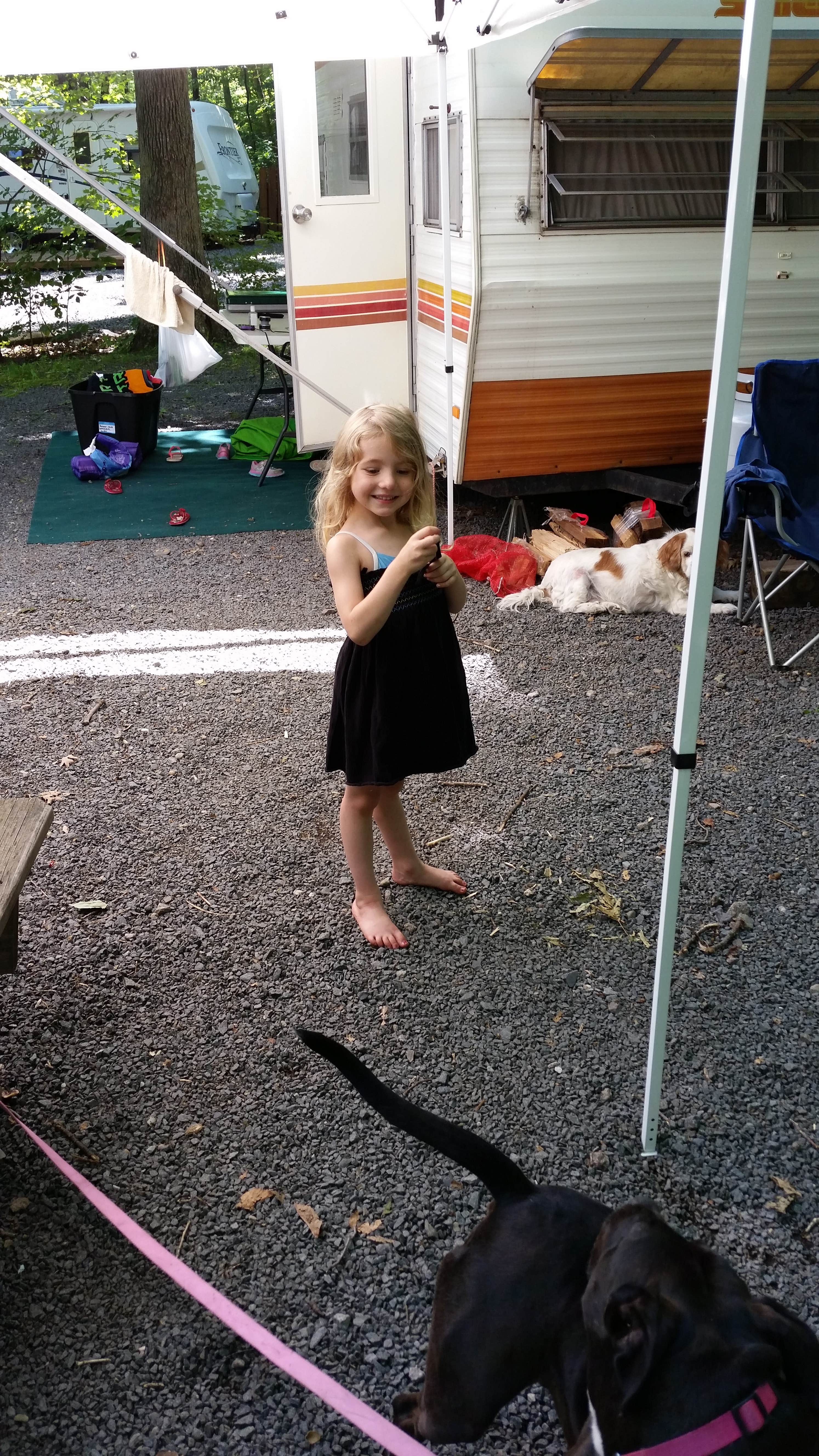 Jen R.'s photo of camping with pets at Adventure Bound Camping Resorts Oak Creek near Ephrata, PA