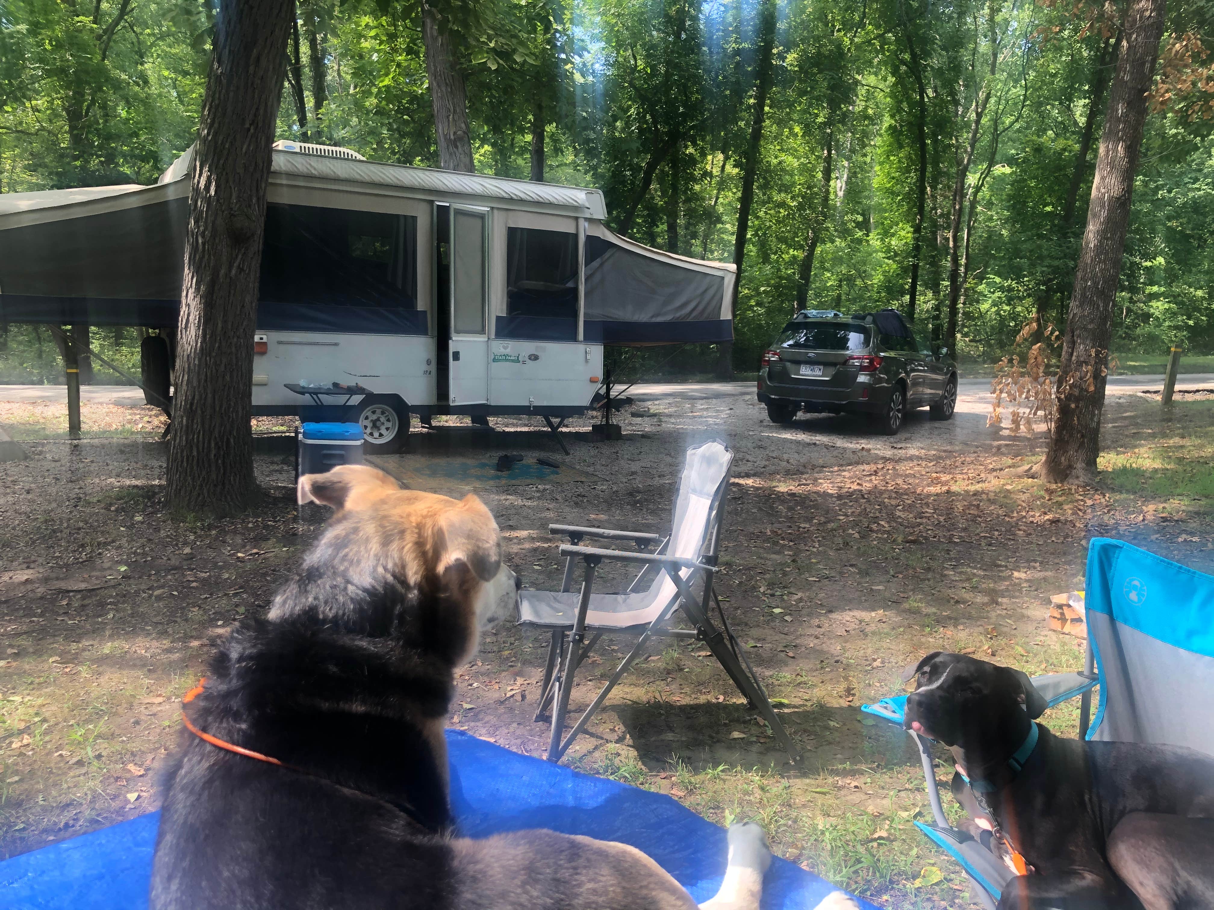 Camper-submitted photo at Watkins Mill State Park Campground near Olathe, KS