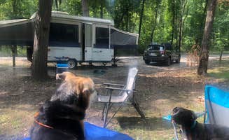 Meaghan S.'s photo of camping with pets at Watkins Mill State Park Campground near Lawson, MO