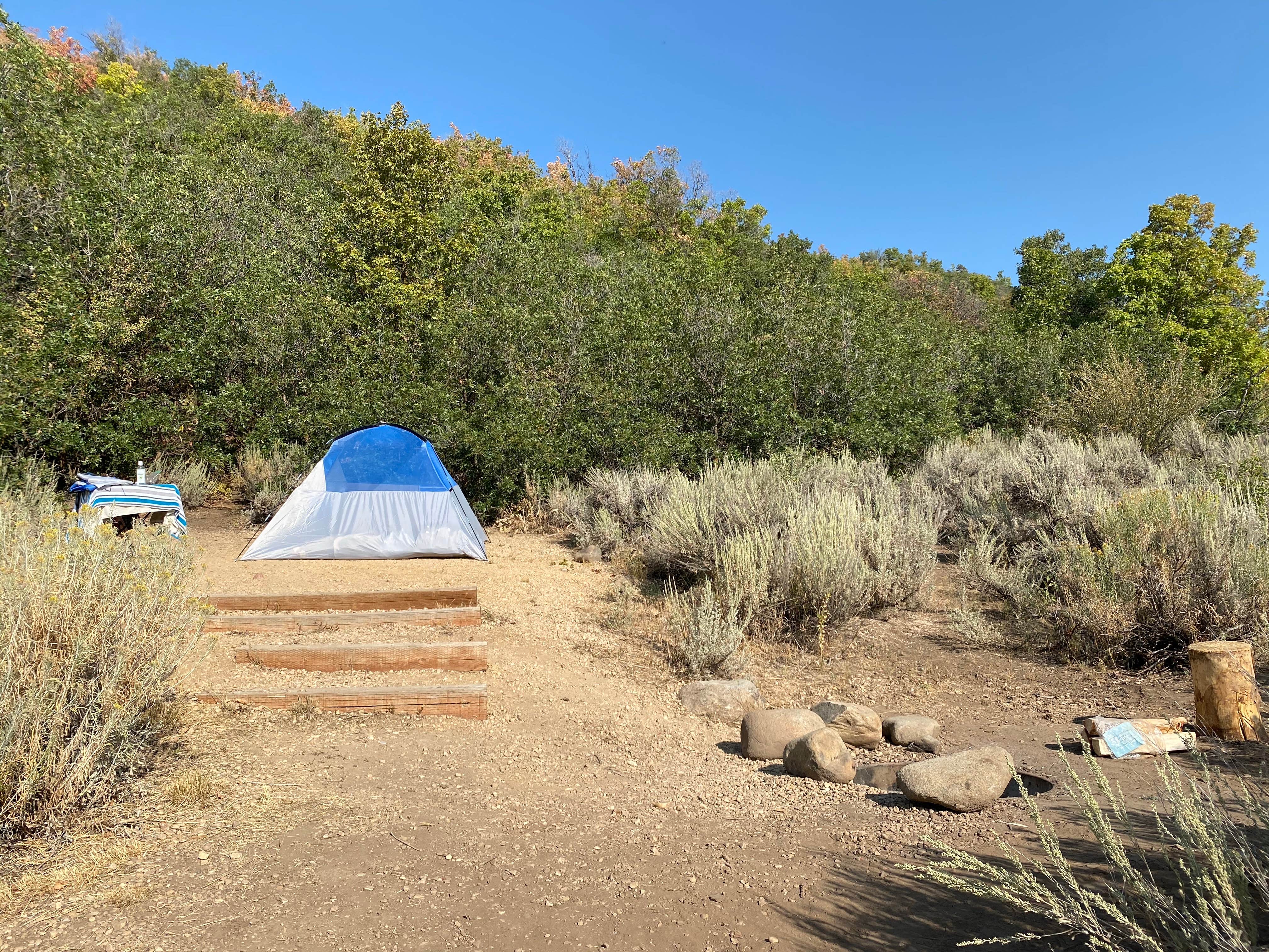 Camper submitted image from Mahogany Cove Campground - 2