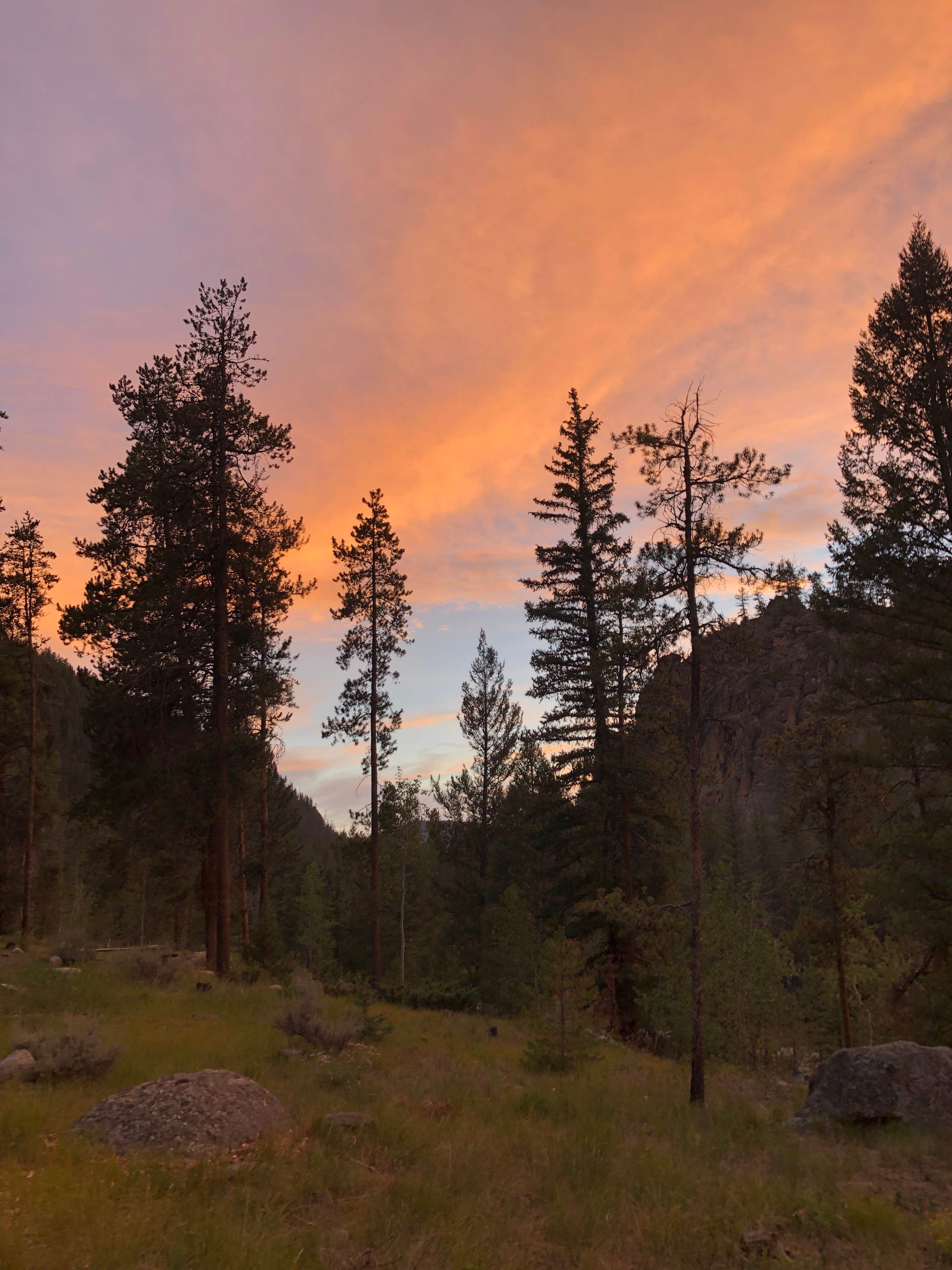 Escape to the Rockies: Colorado's One Mile Campground - A Wilderness Paradise