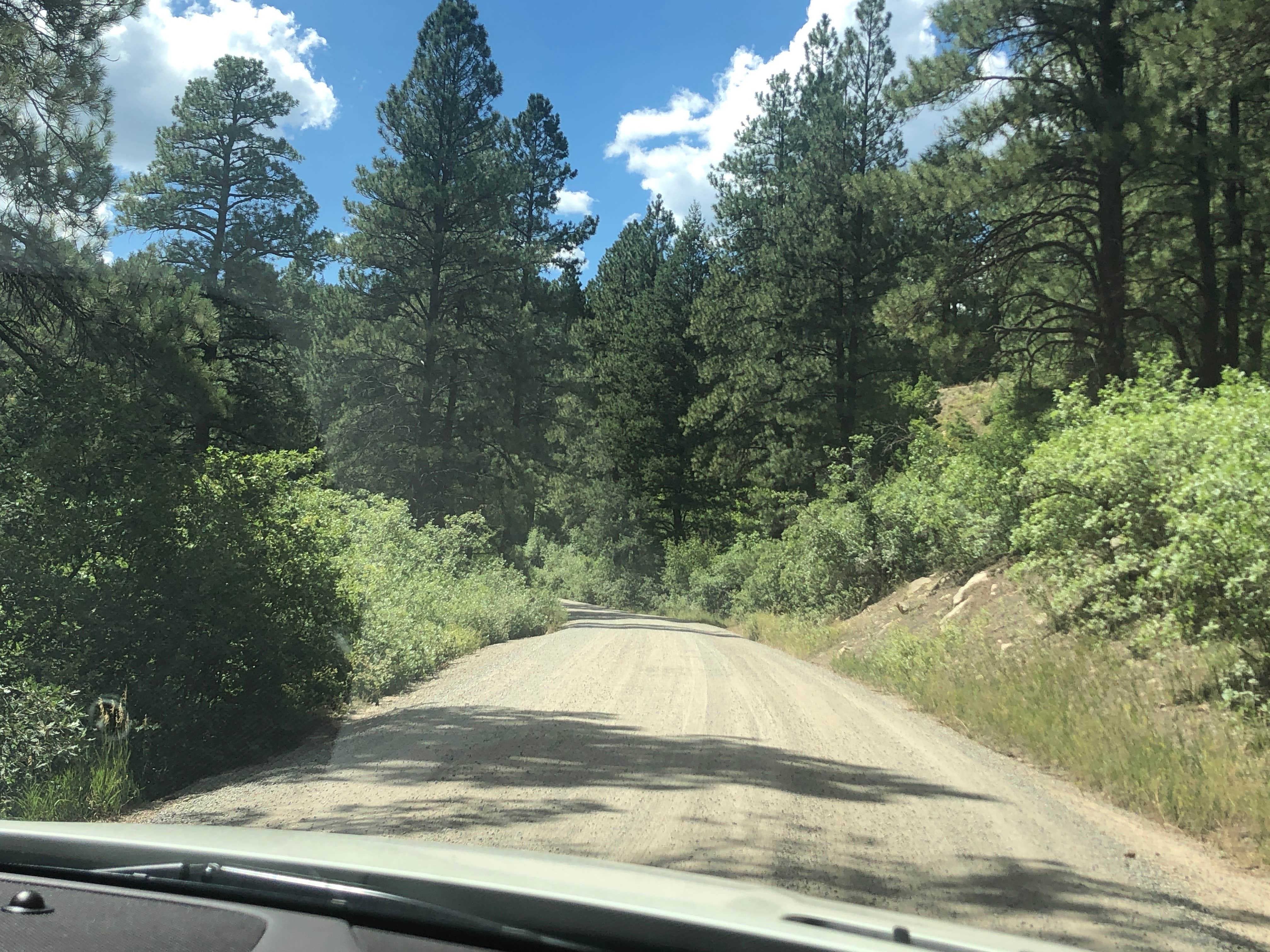 Camper-submitted photo at Junction Creek Campground near San Juan National Forest