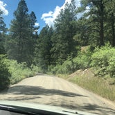 Review photo of Junction Creek Campground by Stacy , August 30, 2020