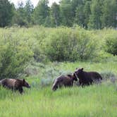 Review photo of Jenny Lake Campground — Grand Teton National Park by Tyler M., August 30, 2020