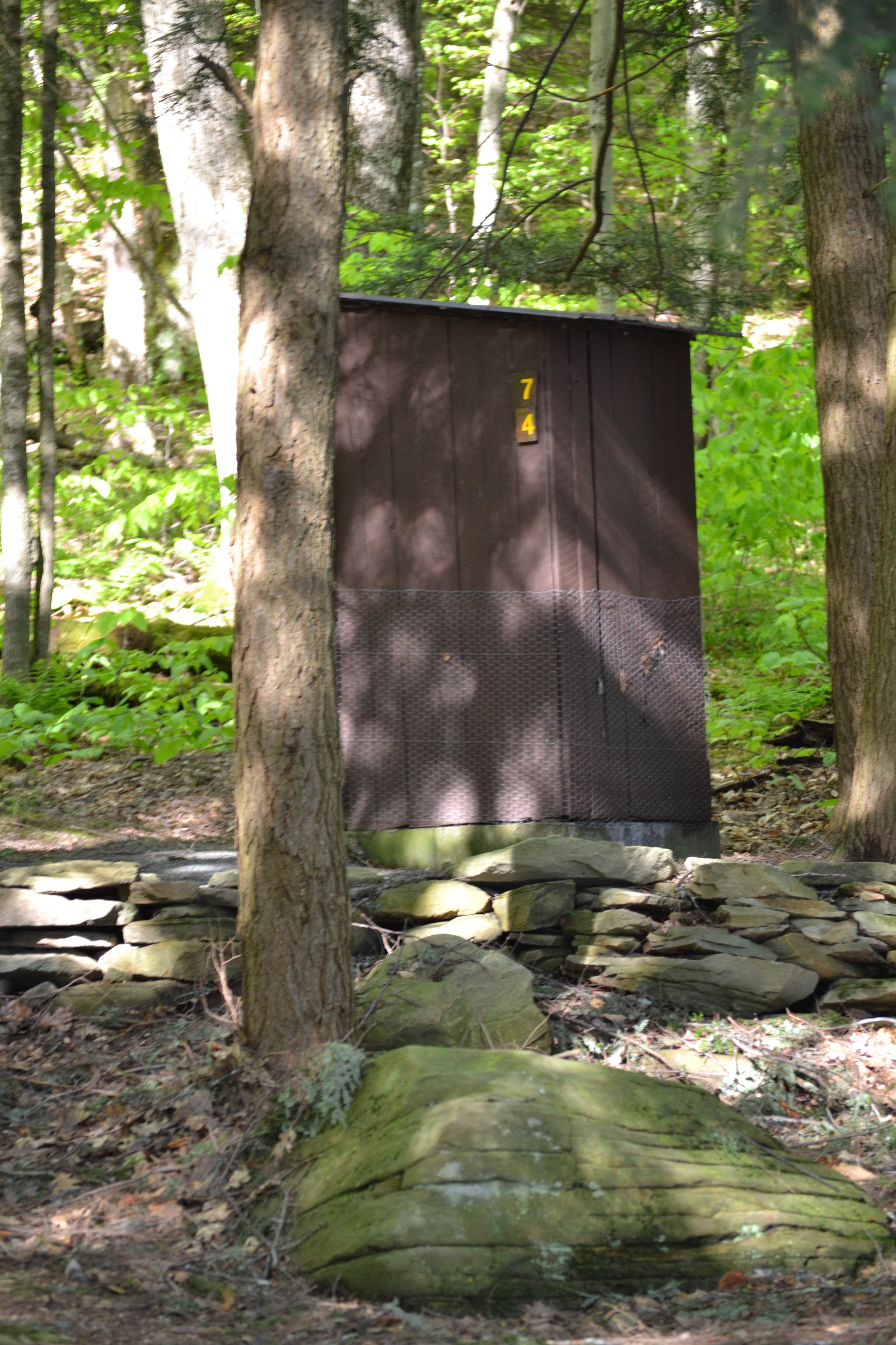 Camper submitted image from Little Pond Campground - 2
