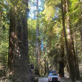 Review photo of Jedidiah Smith Campground — Redwood National Park by Tyler M., August 30, 2020