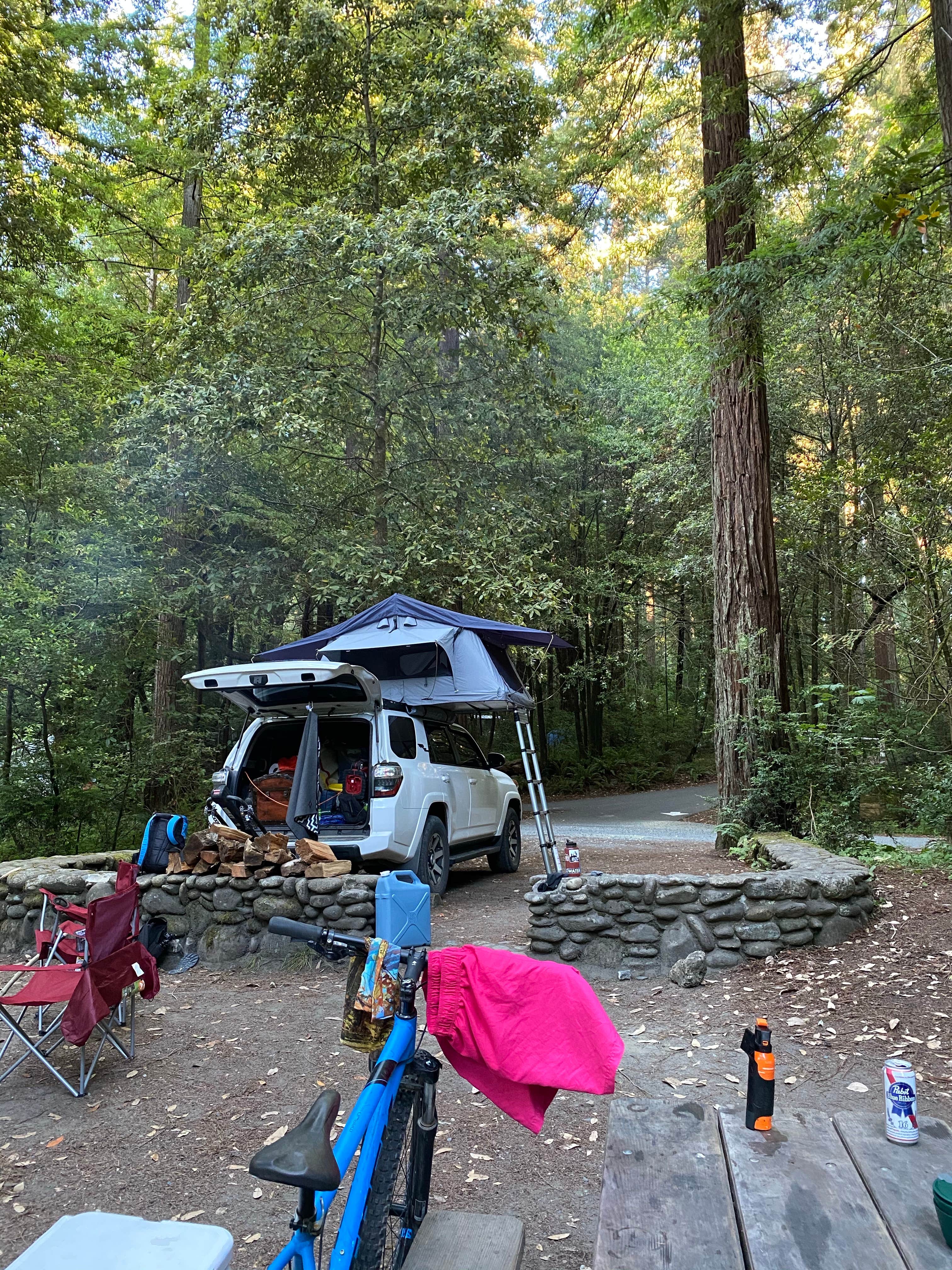 Tyler M.'s photo at Jedidiah Smith Campground — Redwood National Park near Fort Dick, CA