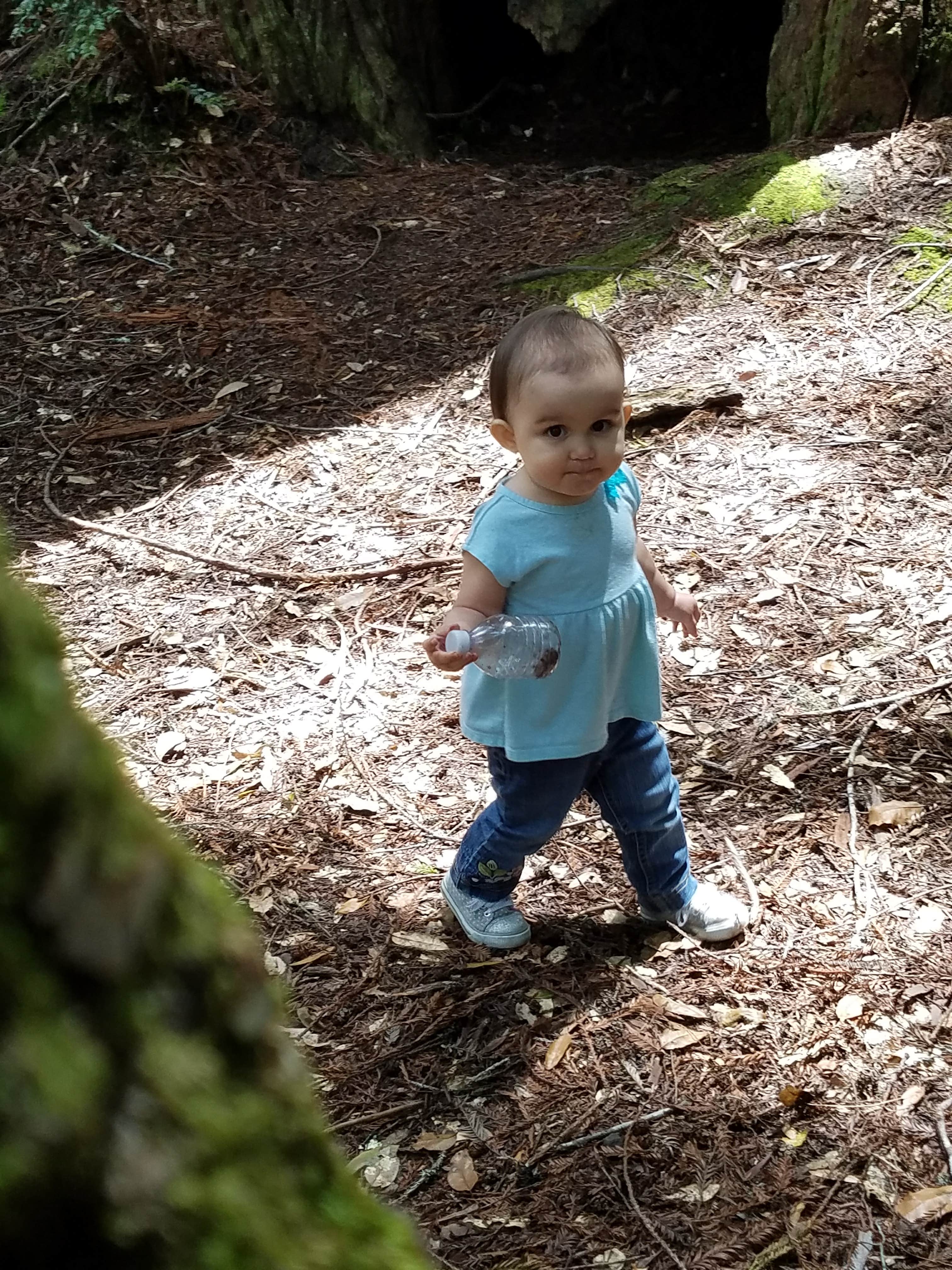 Camper-submitted photo at San Mateo Memorial Park near Woodside, CA