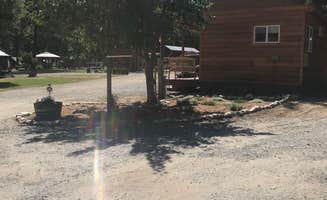 Rachel A.'s photo of a cabin at North Lake Roosevelt Resort near Boyds, WA