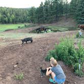 Review photo of Enchanted Circle Campground E<< - #1 Campground in NM by Joel H., August 30, 2020