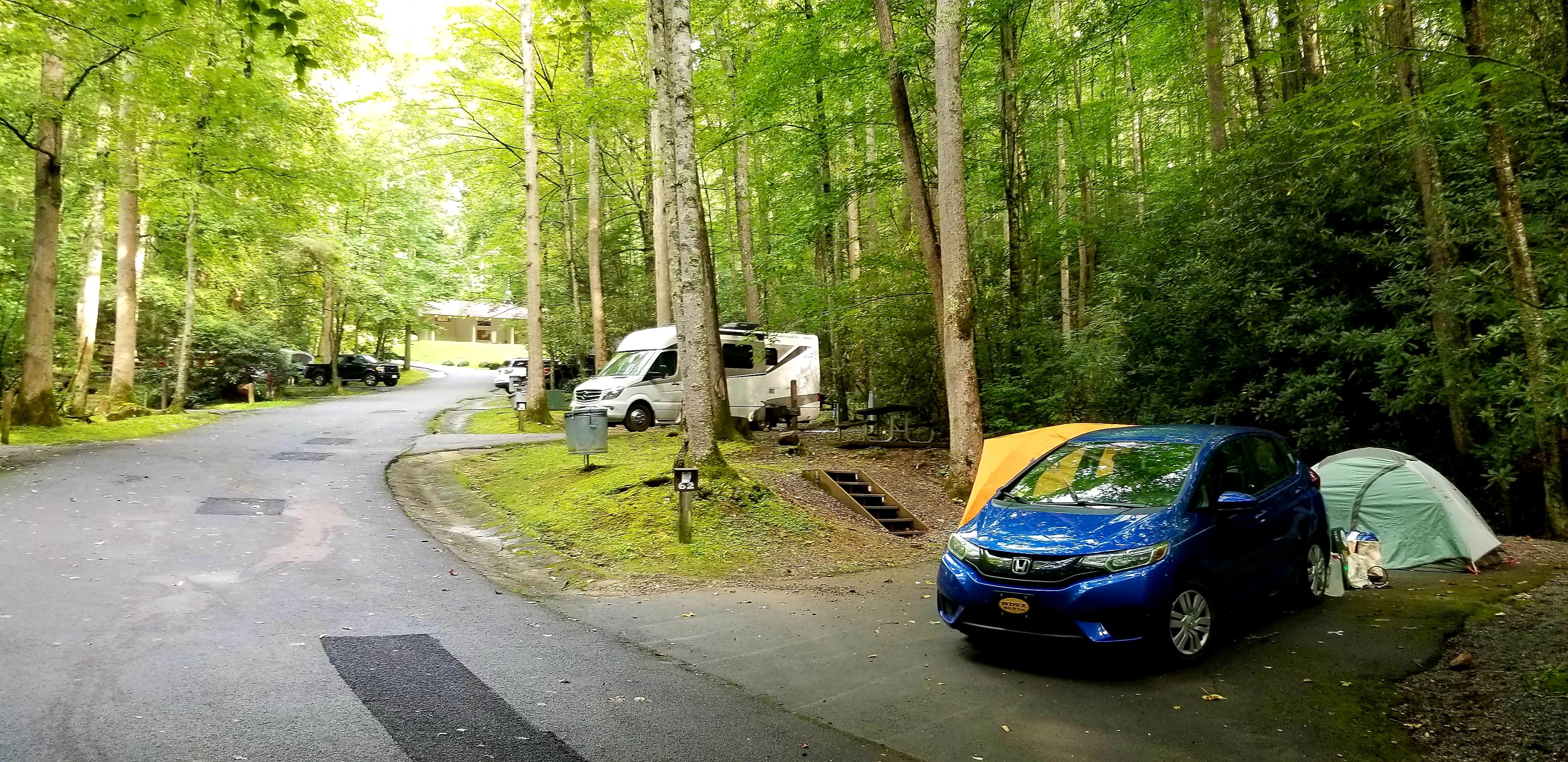 Katrin M.'s photo at Roan Mountain State Park Campground in Tennessee