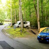 Review photo of Roan Mountain State Park Campground by Katrin M., August 30, 2020