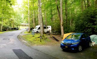 Katrin M.'s photo at Roan Mountain State Park Campground in Tennessee