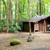 Review photo of Roan Mountain State Park Campground by Katrin M., August 30, 2020