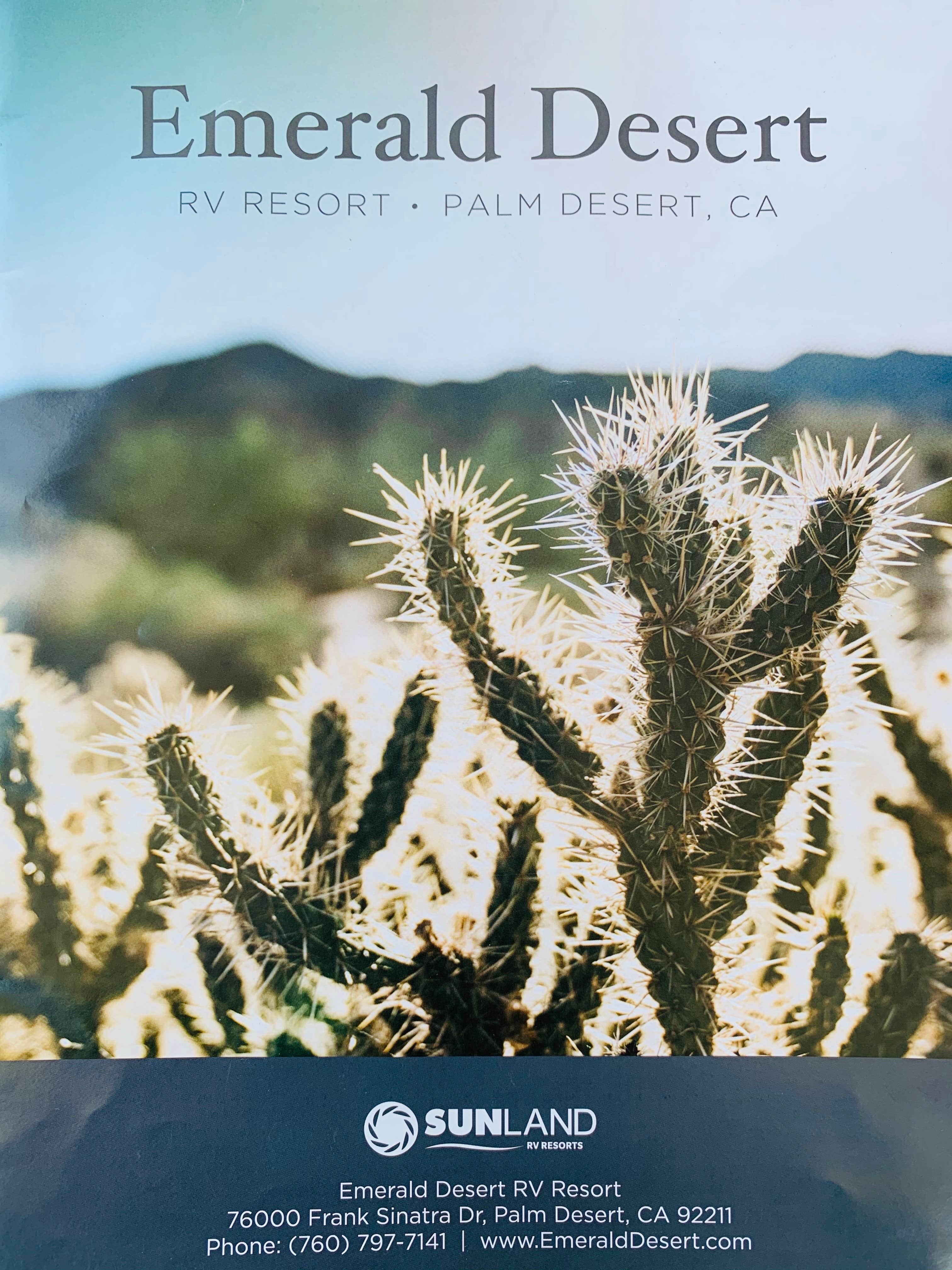 Camper submitted image from Emerald Desert RV Resort - 5