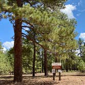 Review photo of Black Canyon Rim Campground (apache-sitgreaves National Forest, Az) by Zachary C., August 30, 2020