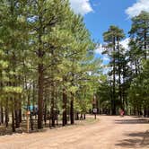 Review photo of Black Canyon Rim Campground (apache-sitgreaves National Forest, Az) by Zachary C., August 30, 2020