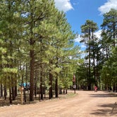 Review photo of Black Canyon Rim Campground (apache-sitgreaves National Forest, Az) by Zachary C., August 30, 2020