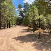 Review photo of Black Canyon Rim Campground (apache-sitgreaves National Forest, Az) by Zachary C., August 30, 2020