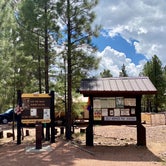 Review photo of Black Canyon Rim Campground (apache-sitgreaves National Forest, Az) by Zachary C., August 30, 2020