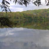 Review photo of Little Pond - DEC by Greg C., July 6, 2016
