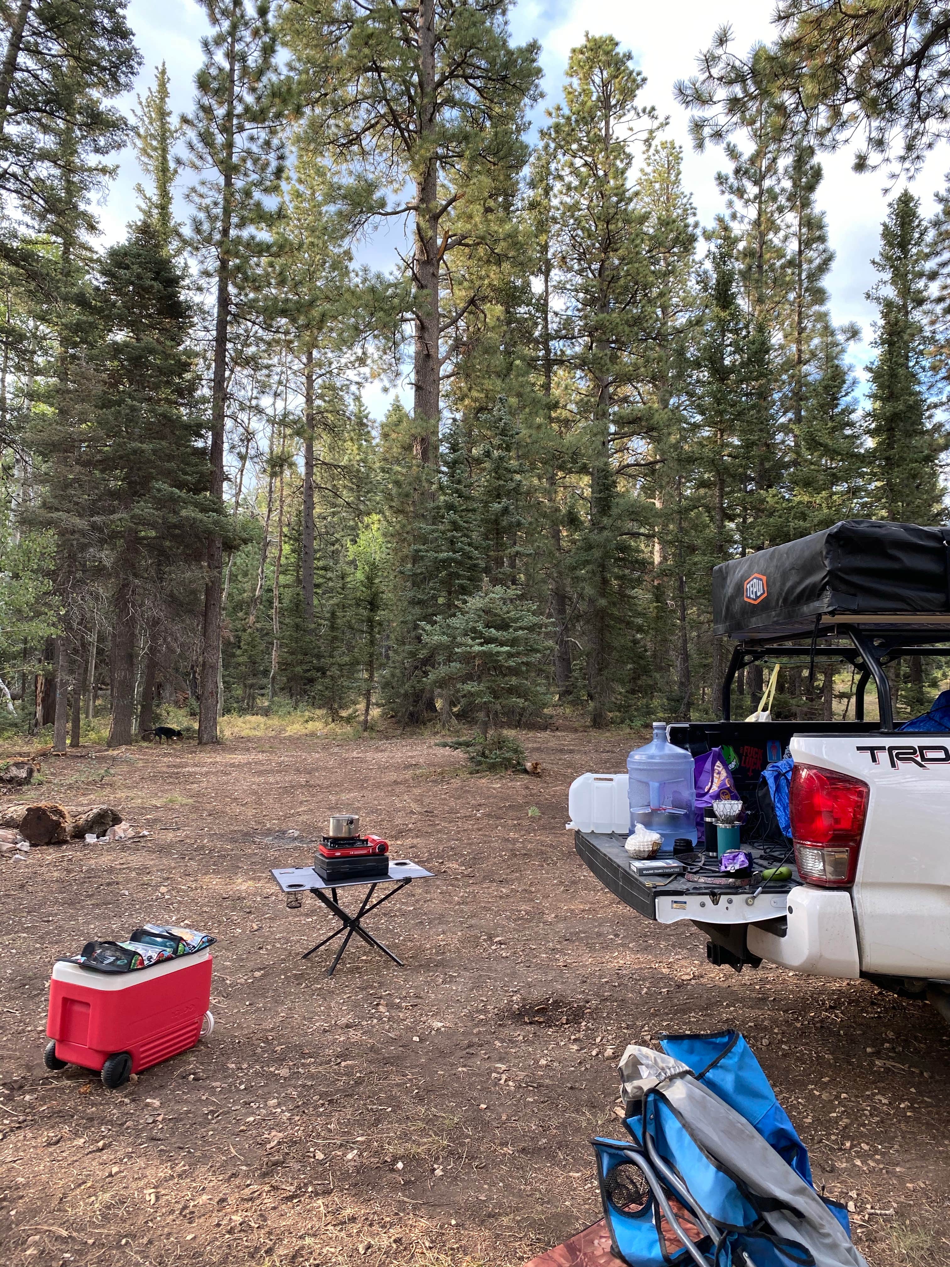 Chantelle Z.'s photo at Grand Canyon North Dispersed camping near Supai, AZ