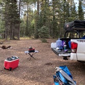 Review photo of Grand Canyon North Dispersed camping by Chantelle Z., August 30, 2020