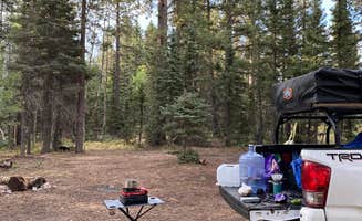 Chantelle Z.'s photo at Grand Canyon North Dispersed camping in Arizona