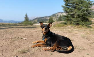 Chantelle Z.'s photo of camping with pets at Lake Irwin near Almont, CO