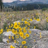 Review photo of Gunnison National Forest Lake Irwin Campground by Chantelle Z., August 30, 2020