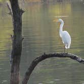 Review photo of Lake Tawakoni State Park Campground by Charyle C., May 10, 2018