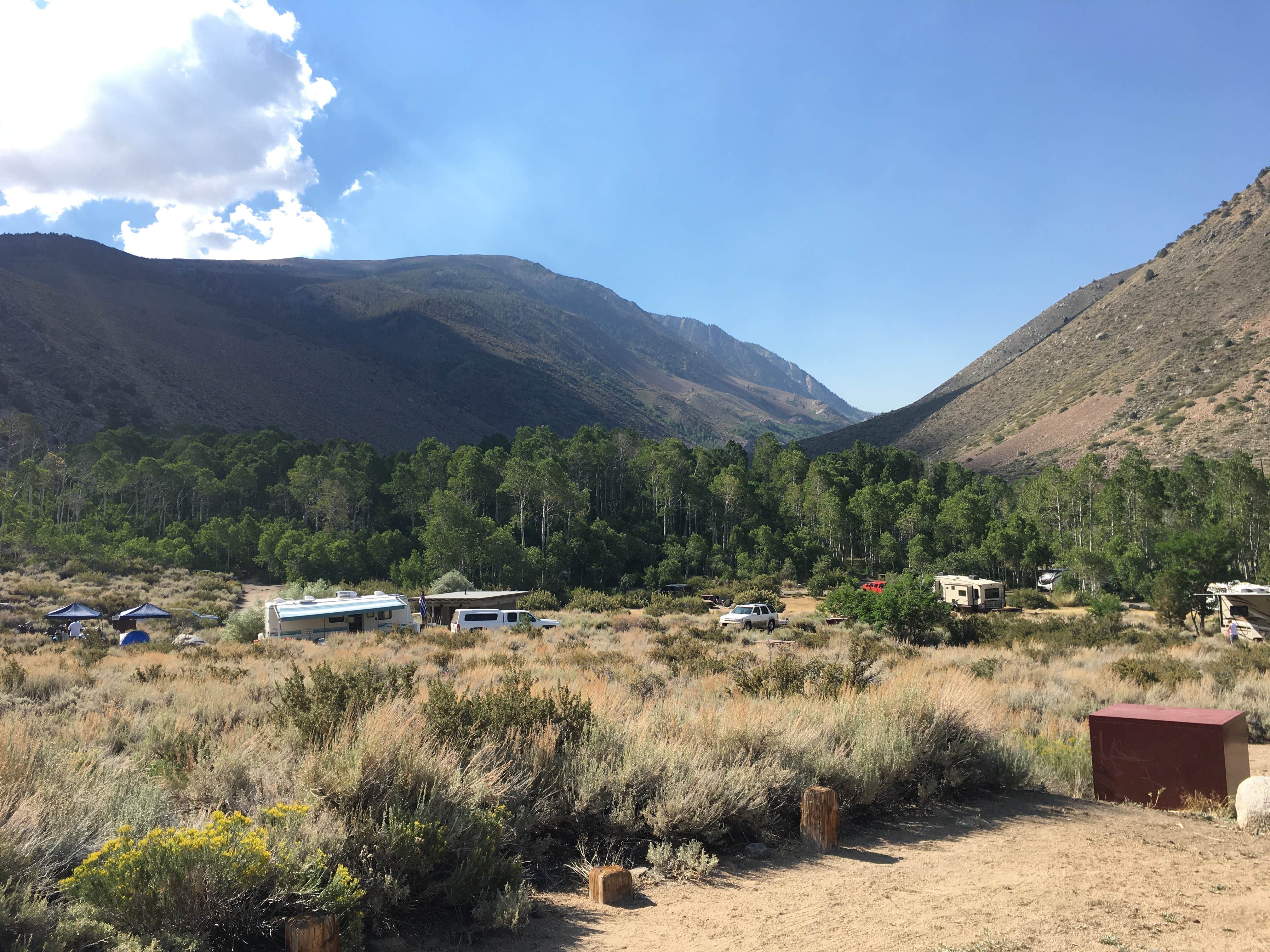 Camper submitted image from Four Jeffrey Campground - 4