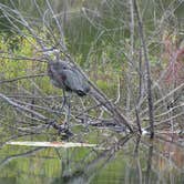 Review photo of Lake Tawakoni State Park Campground by Charyle C., May 10, 2018