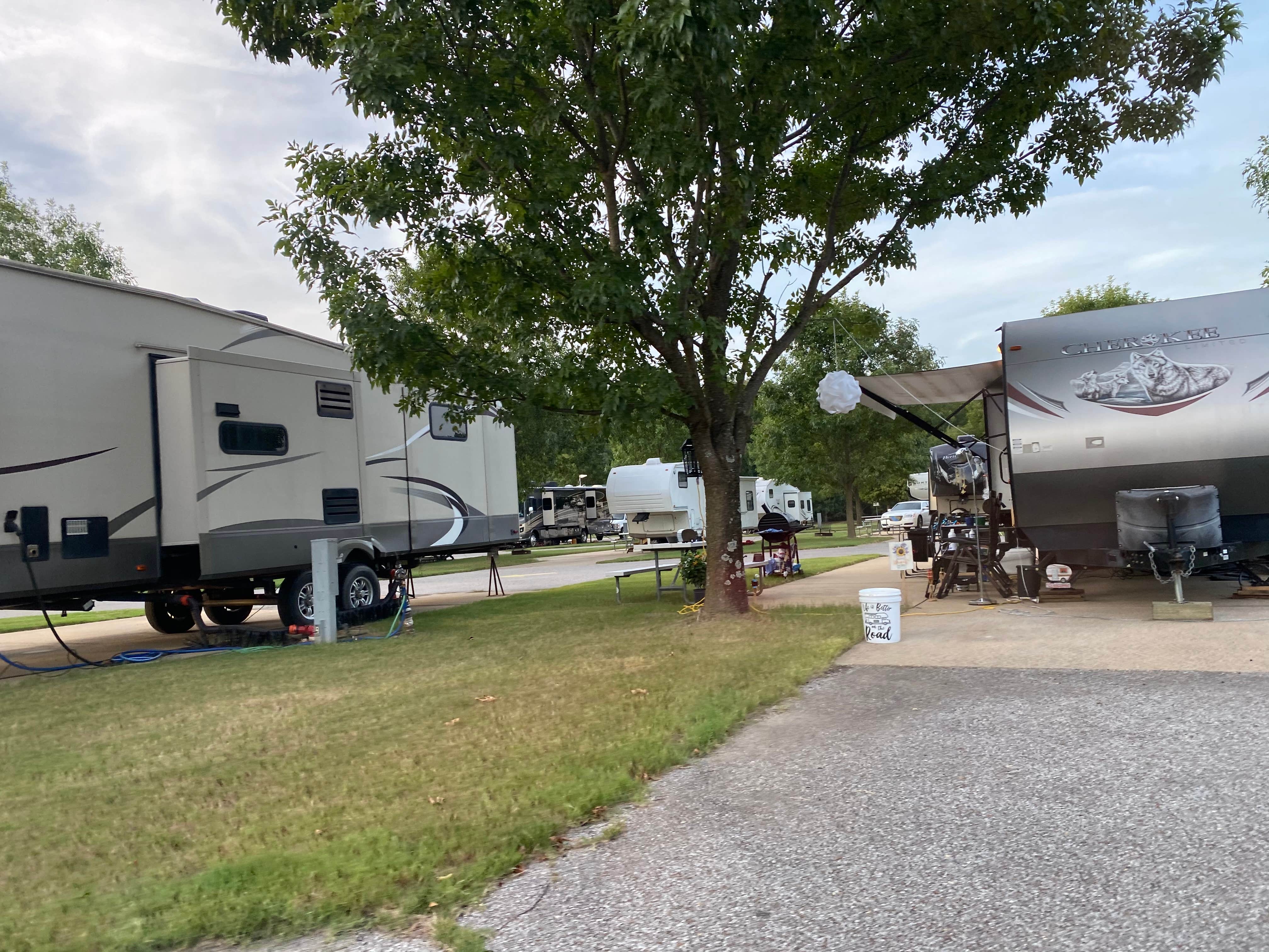 Camper submitted image from Yogi Bear's Jellystone Park Memphis - 2