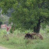 Review photo of Red Fox Campground — Minneopa State Park by Charyle C., May 10, 2018