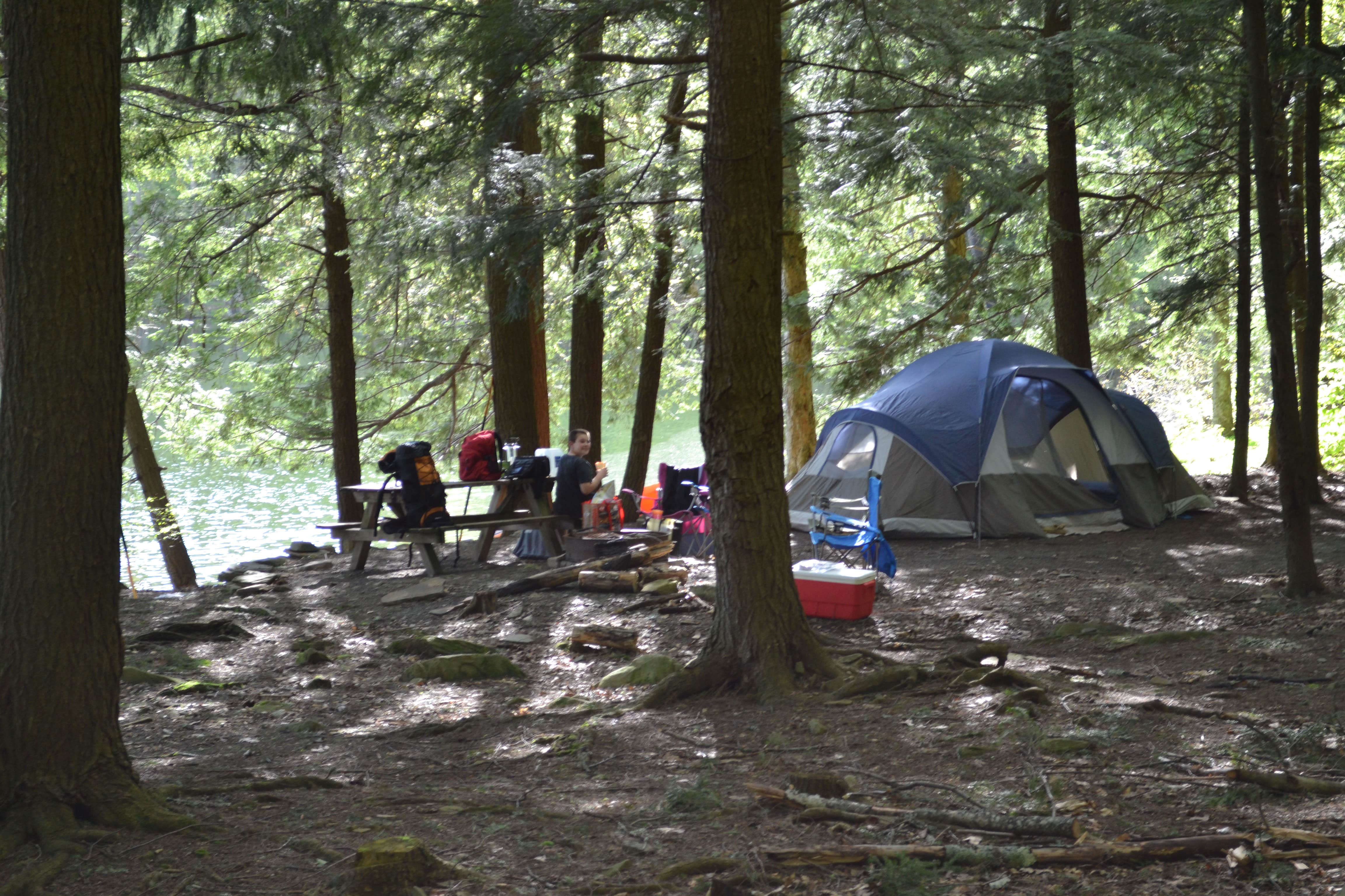 Greg C.'s photo at Little Pond Campground near Margaretville, NY