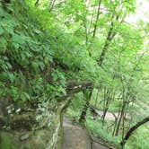 Review photo of Red Fox Campground — Minneopa State Park by Charyle C., May 10, 2018